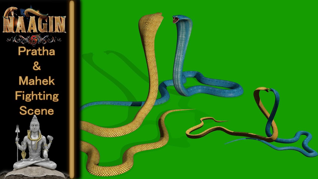 Naagin 6 Pratha And Mahek Fighting Green Screennaagin6 3d snake
