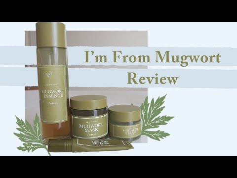 I&rsquo;m From Mugwort Review | Essence, Mask, Cream, Spot Treatment 🌿