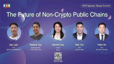 BSN Spartan Global Summit 2022 - The Future of Non-Cryptocurrency Public Chains Panel