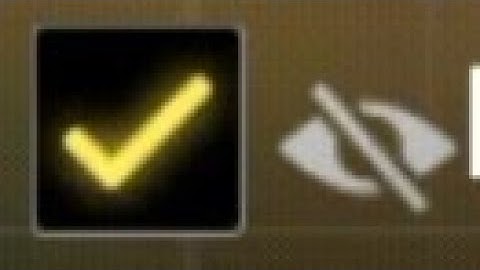 Codm Fix this bug ASAP