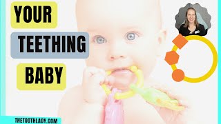 Your Baby Is Teething by Dentalelle with Andrea 94 views 3 months ago 8 minutes, 12 seconds