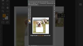 Learn Photoshop Tools Step by Step 🔥 Part 2 (Marquee Tool) #shorts