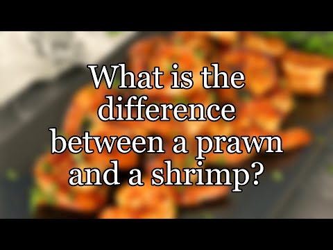Wideo: Czy krewetki to słowo?