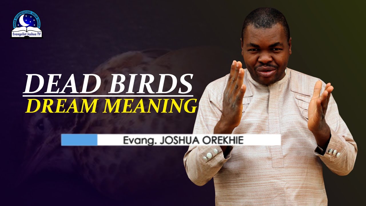 Dead Birds Dream Meaning Symbolism and Biblical Interpretations YouTube