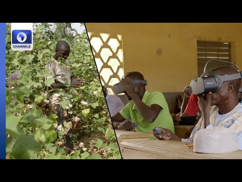 Virtual Reality Helps Cameroon Cotton Farmers Maximize Yields + Eco Africa