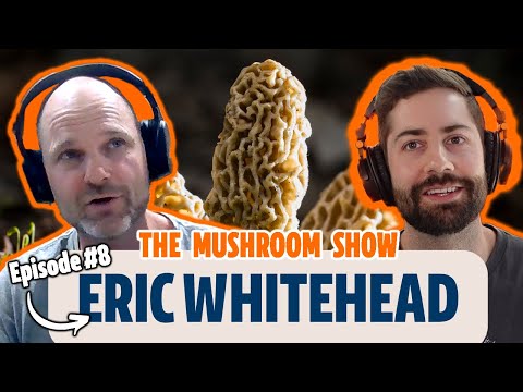 The Wild Business of Wild Mushrooms - Eric Whitehead (The Mushroom Show Episode #8)
