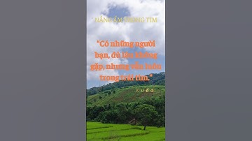 “Có những người bạn, dù lâu không gặp, nhưng vẫn luôn trong trái tim.” #NangAmTrongTim #SongTichCuc