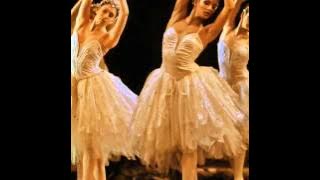Download lagu Swan Lake Theme by David Garrett