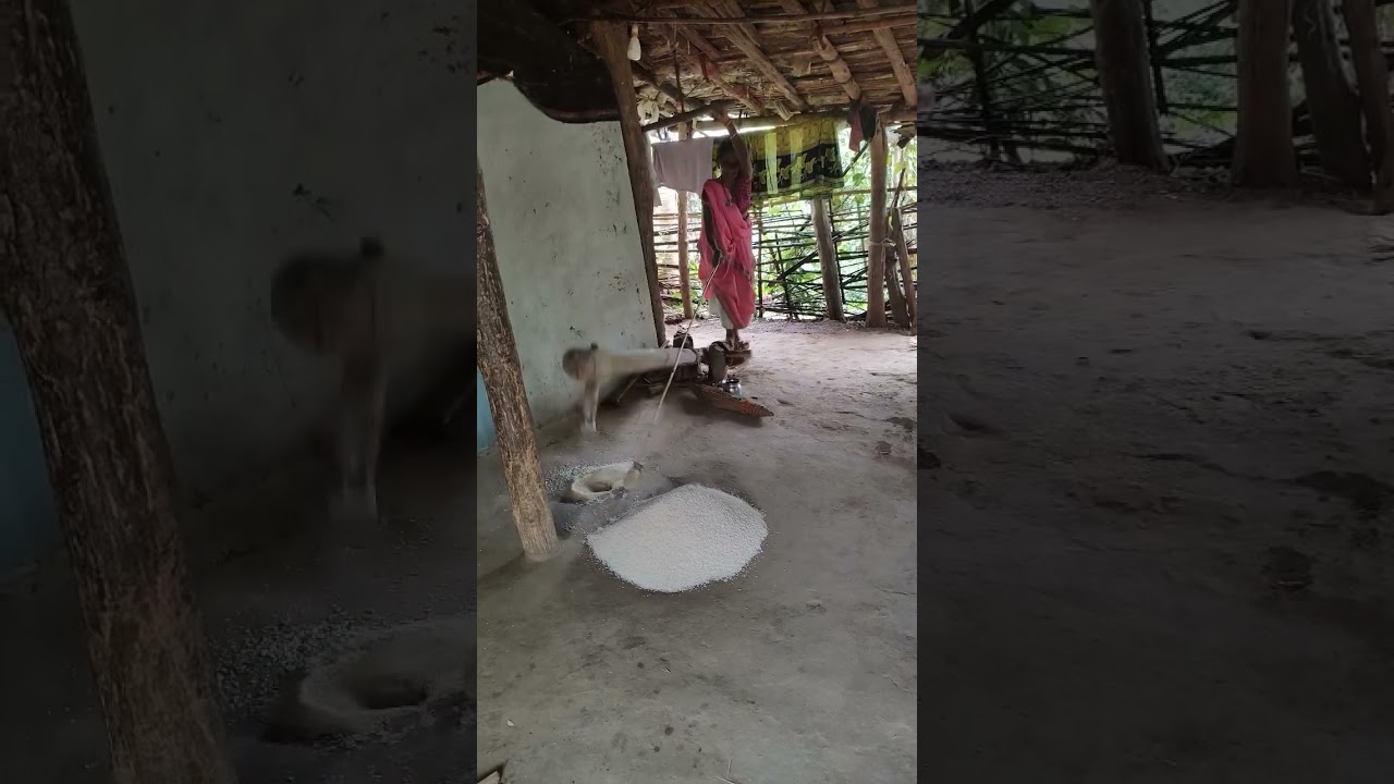 Indigenous Technical Knowledge (ITK) 