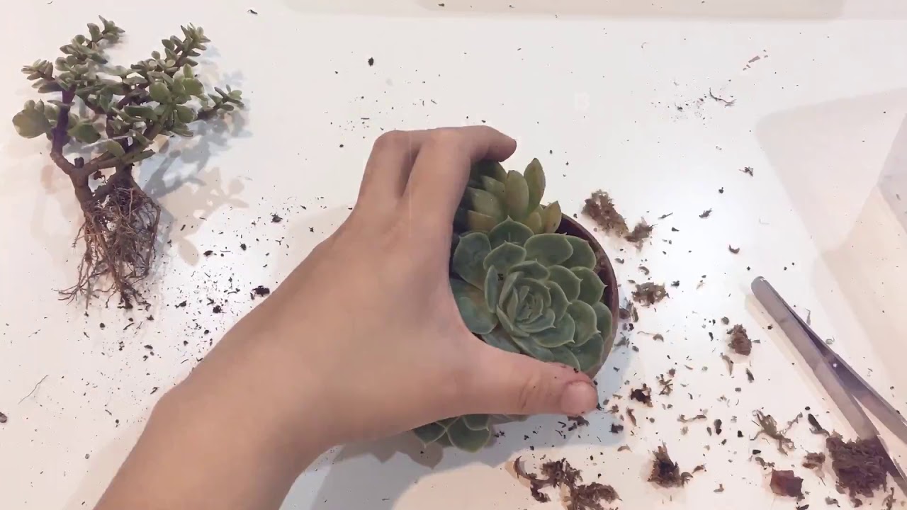 課程內容 Jointly 共時光