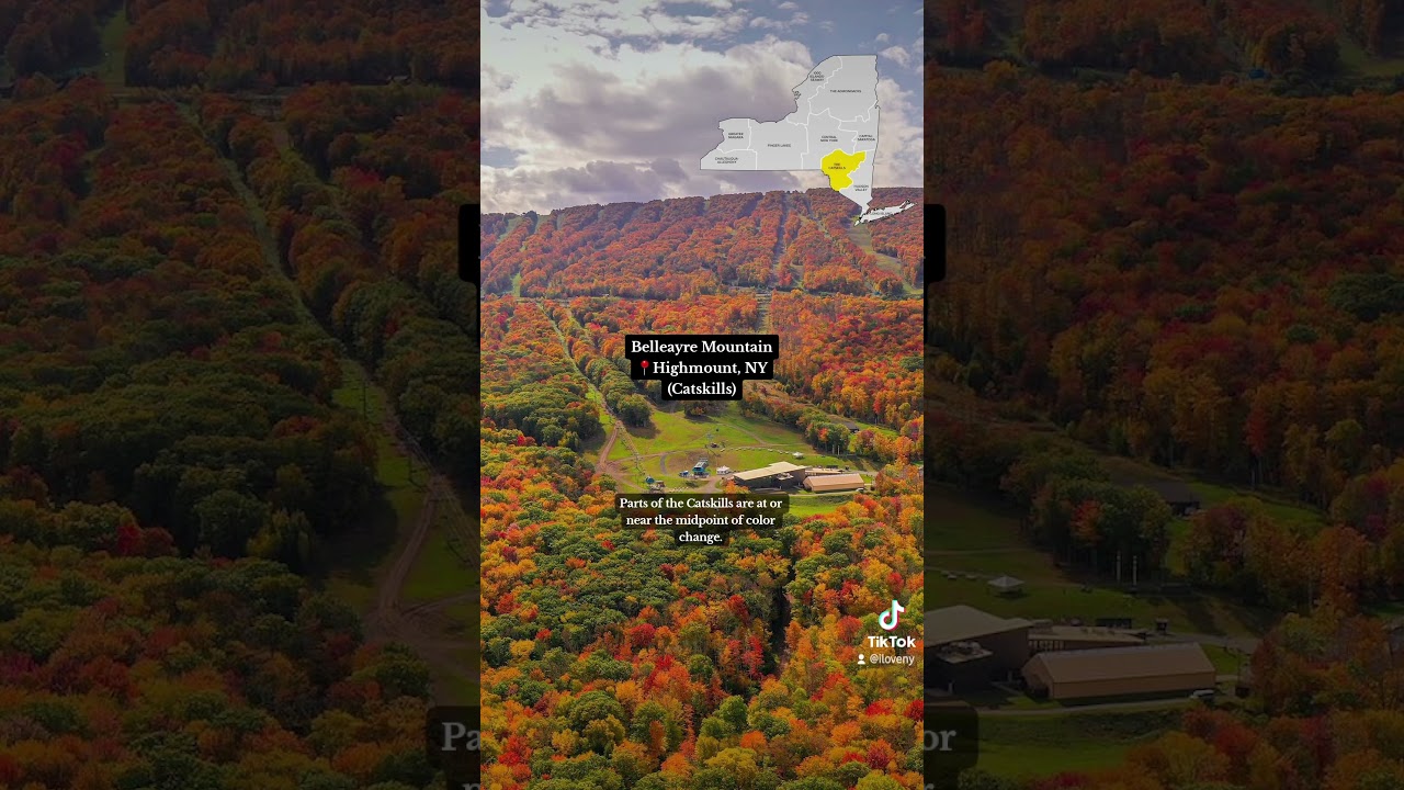 Fall Foliage Report 2023: Week 3