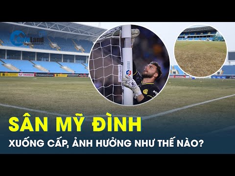 Video Sân Mỹ Đình như… 'bãi chăn bò', Làm rõ nguyên nhân,... - youtube