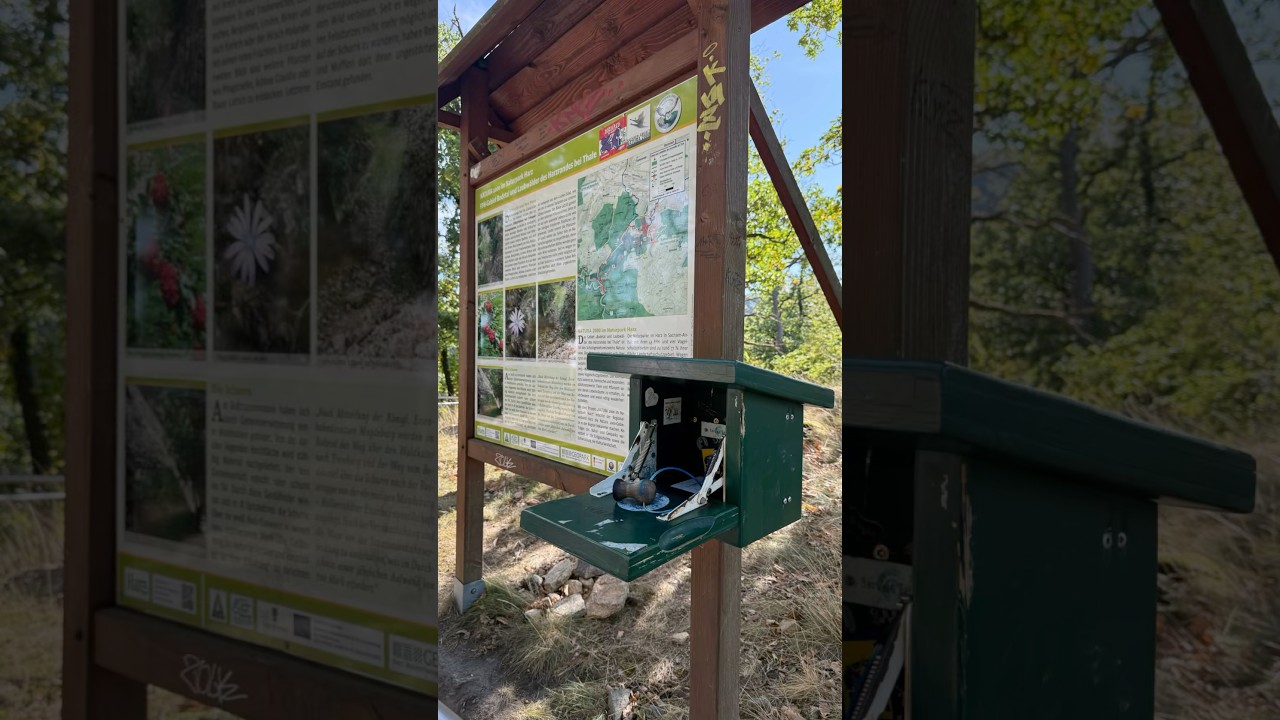 5 - Поход от Thale в горы Harz 15 km. 