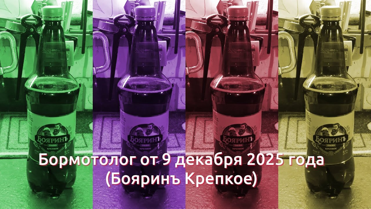 Бормотолог от 9 декабря 2025 г. (Бояринъ Крепкое)