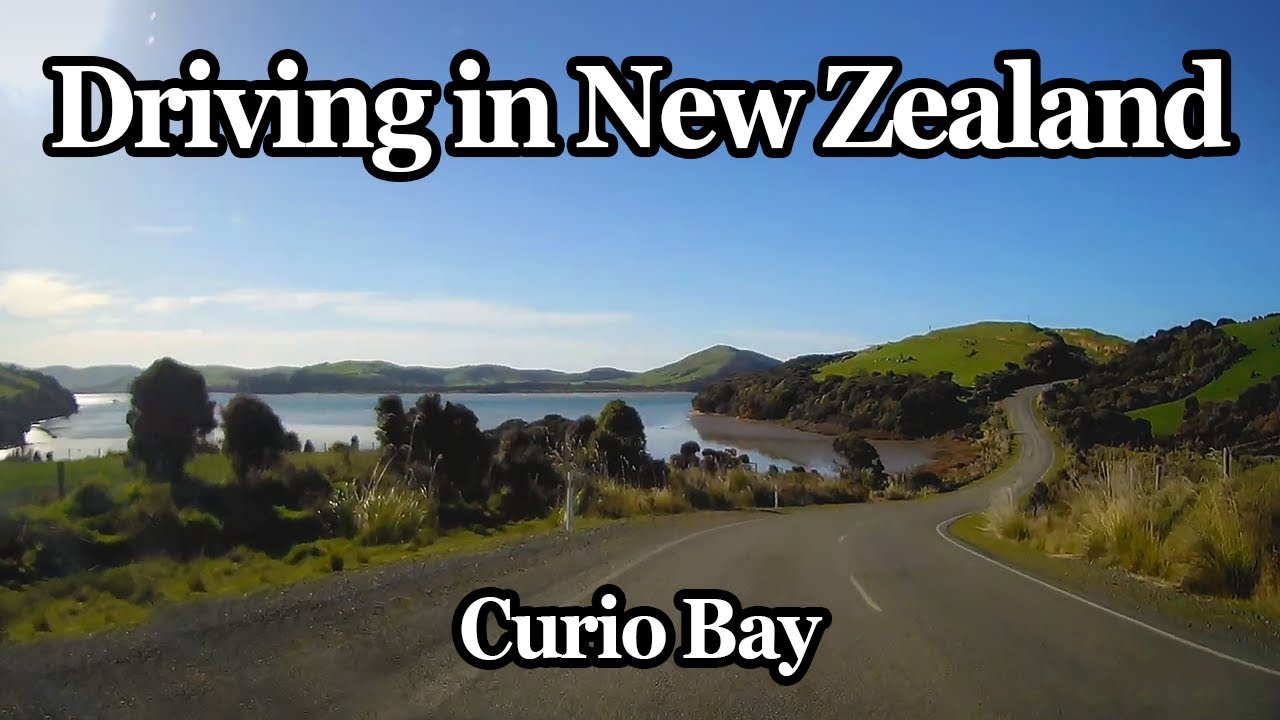 Curio Bay