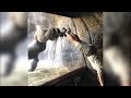 Watch Gorilla Mimic His Trainer By Doing a Handstand