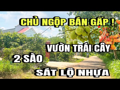 Chính chủ bán gấp, vườn trái cây, sát lộ nhựa, huyện cẩm mỹ cũ, Tp Đồng Nai
