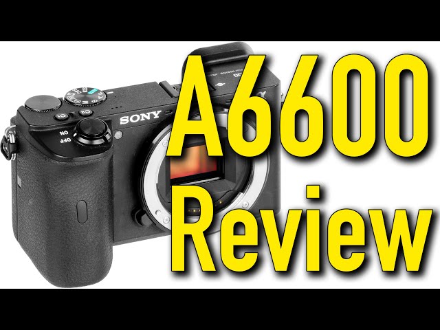 Sony A6600 review