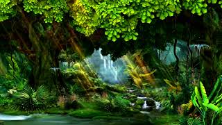 LED Background - Enchanted Forest LED Background - Enchanted Forest 5
