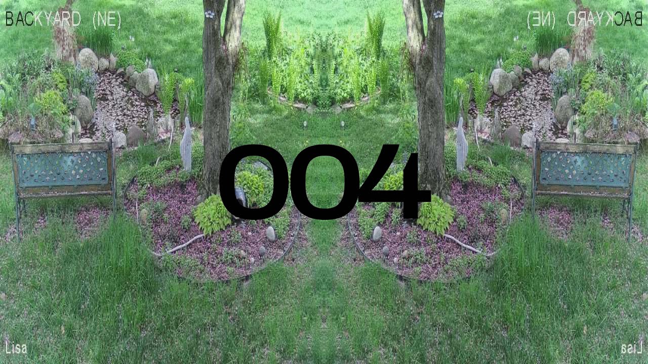 Cuts In The Fog 004 - 