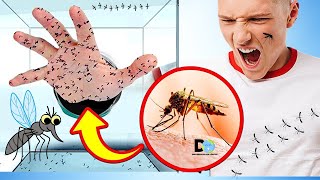 No dejes que Los Mosquitos te piquen!! ¿ Por qué los Mosquitos te prefieren a ti ?