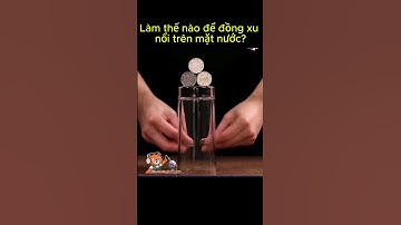 Liệu một đồng xu có thể nổi trên mặt nước không?