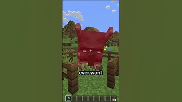 Minecraft does not have to be hard - Scalacube