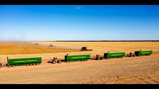 Erangy Farms taking off a bumper crop with four 45' headers (combines) in the Mid West of WA.