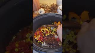 Crockpot Nacho Soup Episode 1