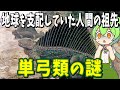 かつて地球を支配していた人間の祖先「単弓類」とは？【ずんだもん解説】