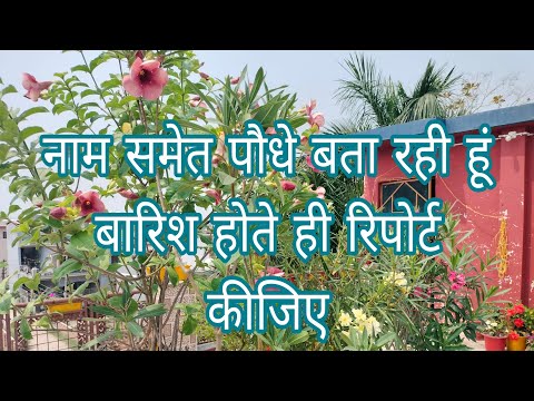 नाम समेत पौधे बता रही हूं बारिश होते ही रिपोर्ट कीजिए