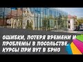 Ошибки, потеря времени и проблемы в посольстве. Курсы при ВУТ