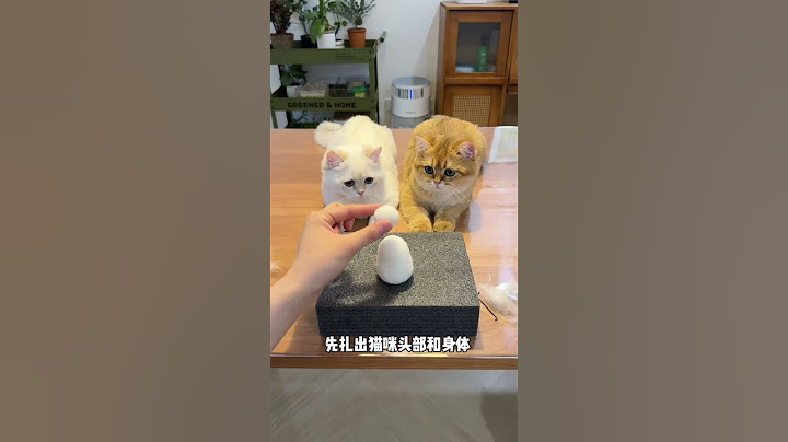【牛奶是只猫】给我家金点做的羊毛毡怎么样？