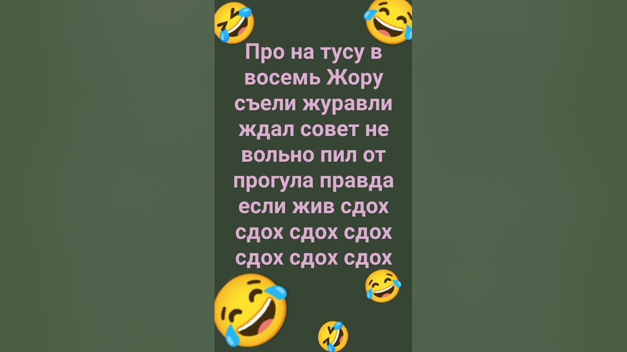 Стих жора. Стих жора