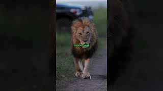 Doğa bize birçok değerli ders sunar.