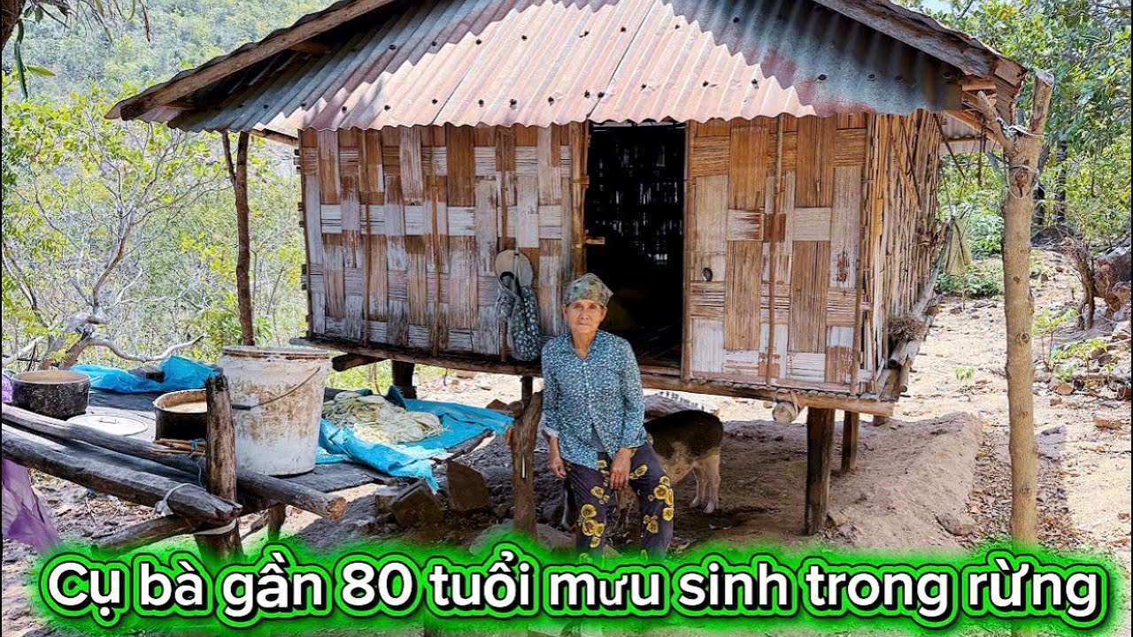 Ở tuổi xế chiều, cụ bà vất vả nuôi heo mướn kiếm từng bữa ăn qua ngày.  Tập 19