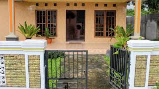 Update Of Our Guesthouse Masohi, Letwaru On Seram Maluku