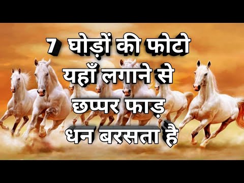 वीडियो: ज़ूस्क पर आप कितनी तस्वीरें लगा सकते हैं?