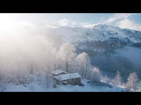 Video: Dusit Thani Maldive - o exotică stațiune înconjurată de apă turcoaz