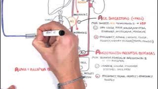 Pharmacology - Antihypertensives