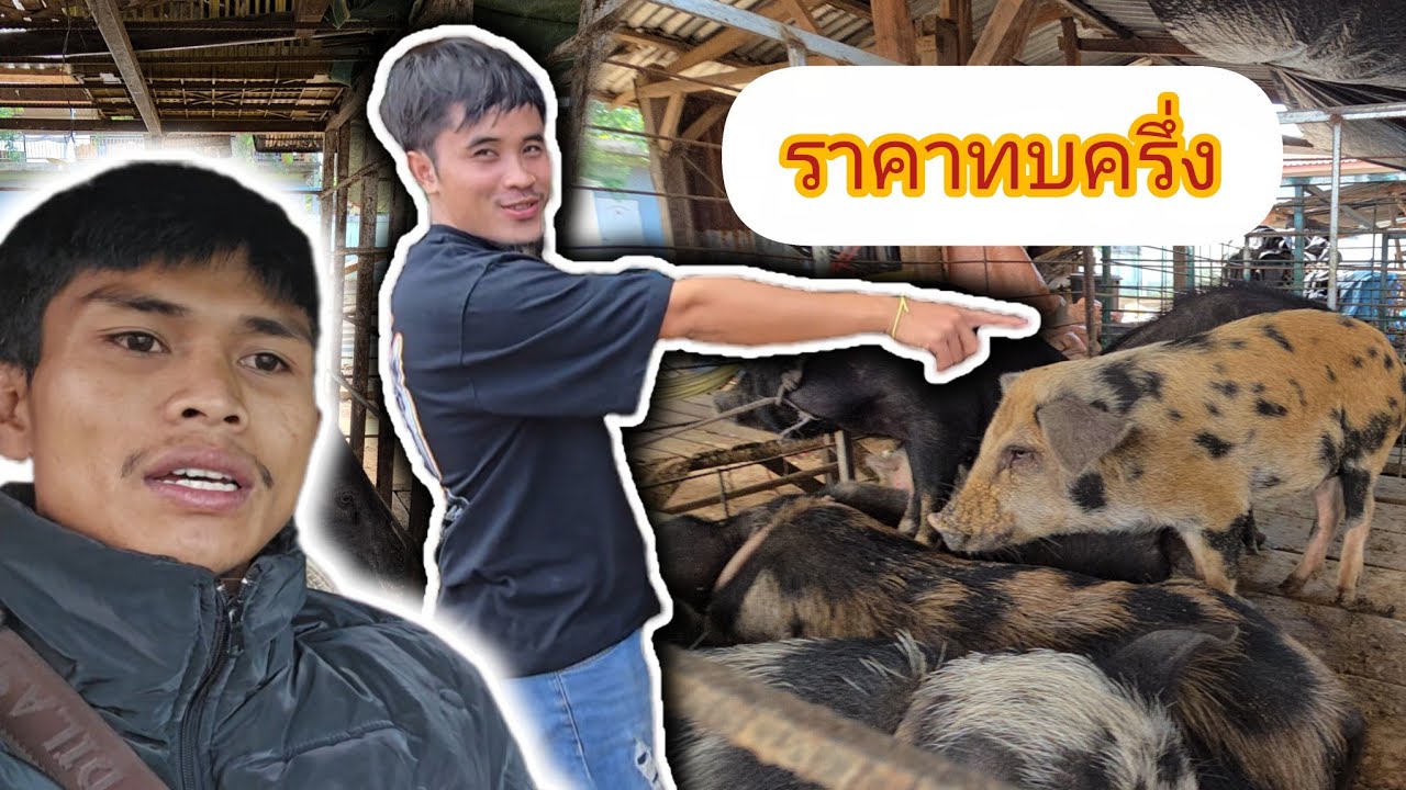 6 มีนาคม ค.ศ. 2026