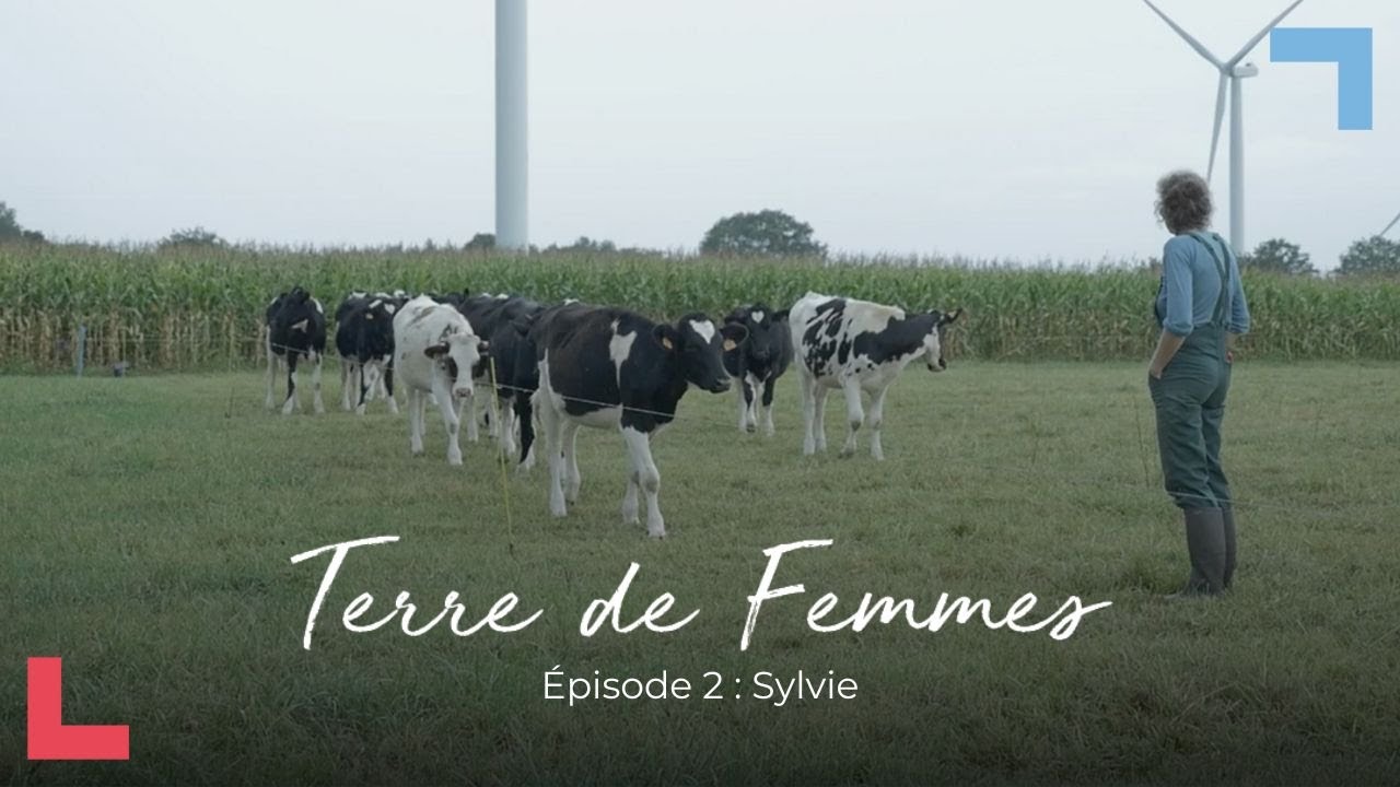 Sylvie [Terre de femmes #2]