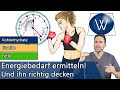 Energiebedarf & Stoffwechsel: Unsere tägliche Energiegewinnung durch Proteine, Kohlenhydrate & Fette