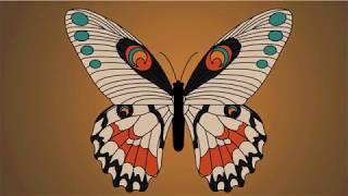 Butterfly Flap Animation Test