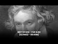 Beethoven - Für Elise (Slowed + Reverb) - 30 Min | Deep Relaxation & Sleep Piano