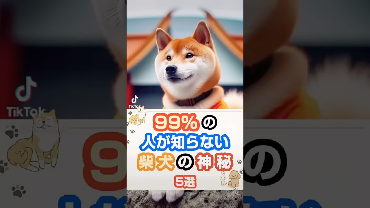 99%の人が知らない「柴犬」の神秘 5選