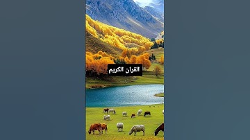 #egzonibrahimi#سورة_الإخلاص#ikhlas #duet#motivation#religiousquotes #quotes#tending#love#like#bayan