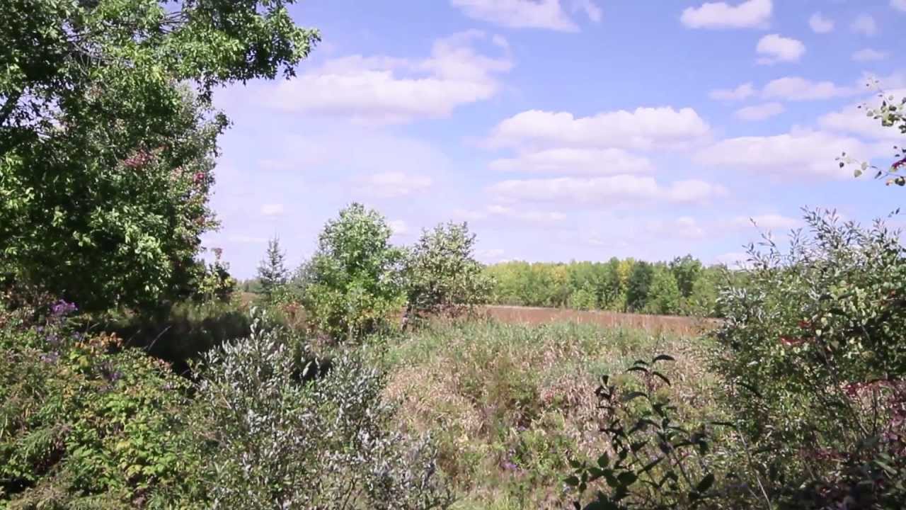 2197 Nature Trail Crescent, Chapel Hill, Ottawa Video Tour YouTube