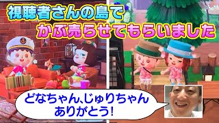 【直撮り実況】カブをなんとかしないとやば森　視聴者さんの島でかぶ売らせてもらいましたー！！