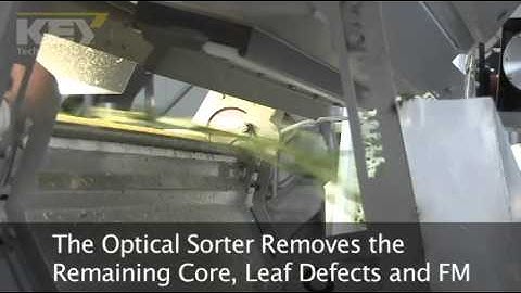 Lettuce Core Removal System - Video One